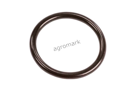 O-ring