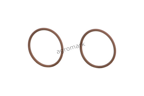 O-RING