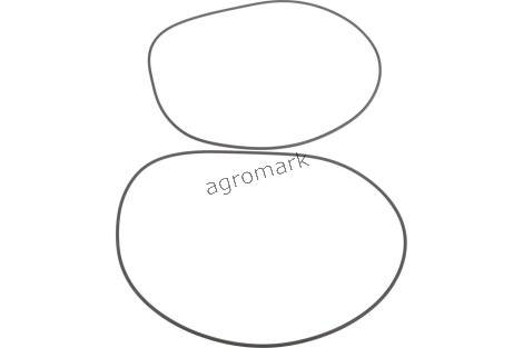 O-ring tłoka hamulcowego