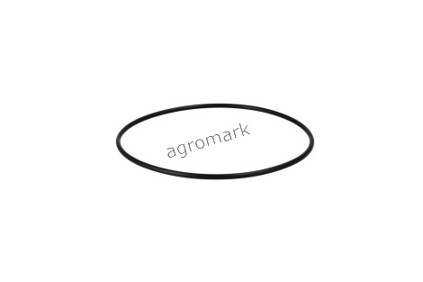 O-ring