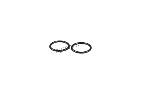 O-ring