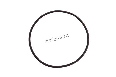 O-ring
