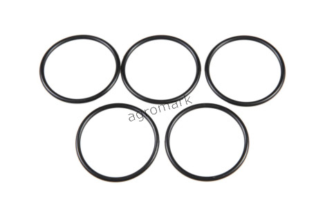 O-ring