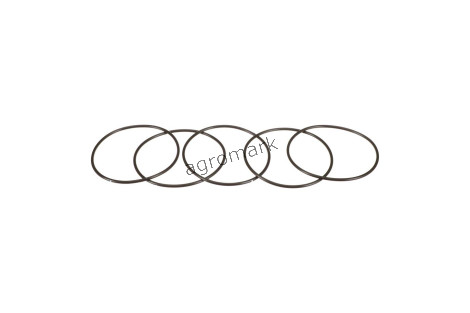O-ring