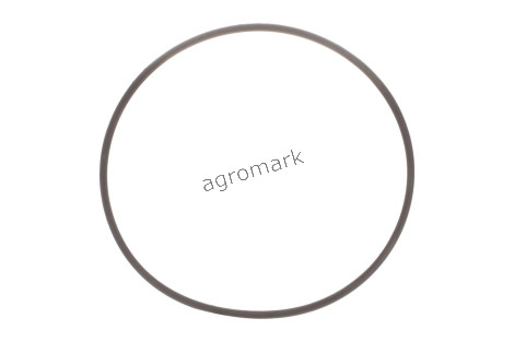O-RING