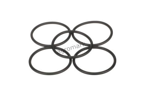 O-RING