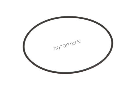 O-ring