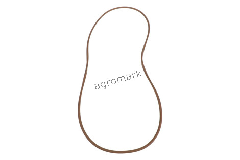 O-ring