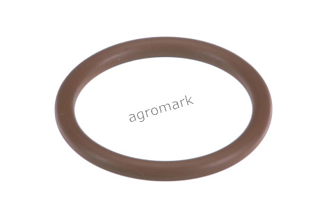 O-ring