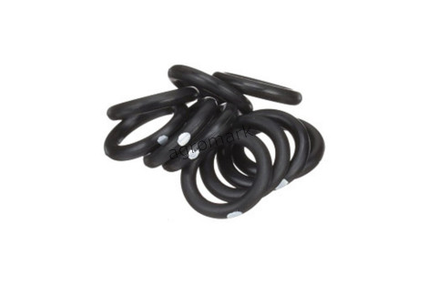 O-ring