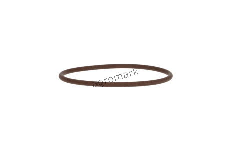 O-ring