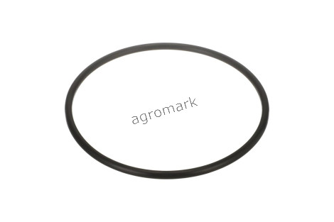 O-ring