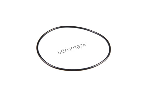 O-ring