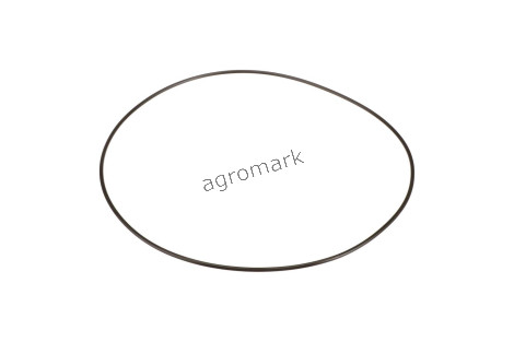 O-ring