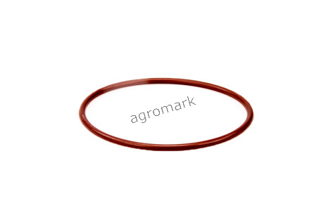 O-ring*