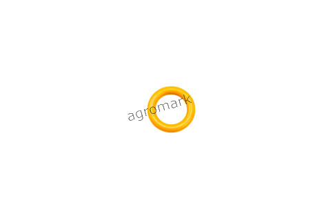 O-ring
