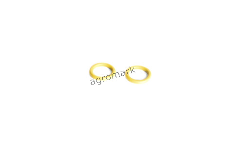 O-ring