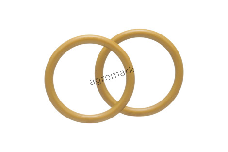 O-ring