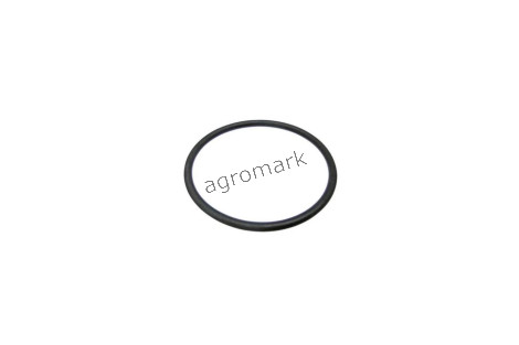 O-ring