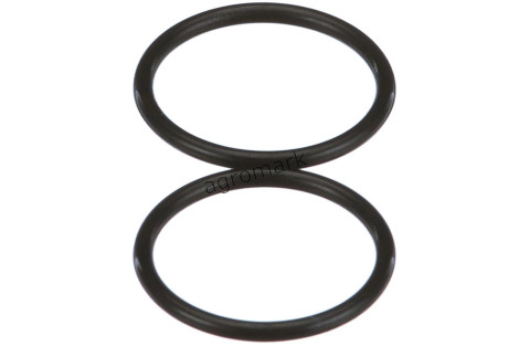 O-ring