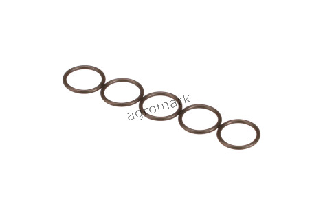 O-ring