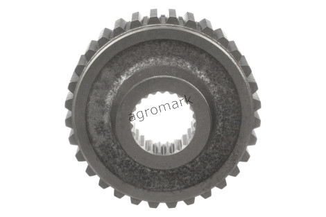 Piasta
