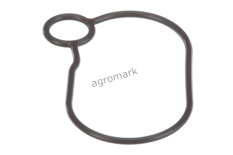 O-ring