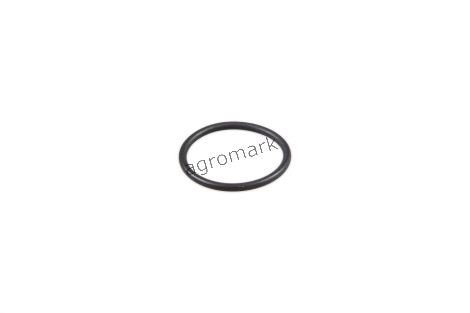 O-ring