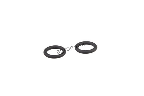 O-ring