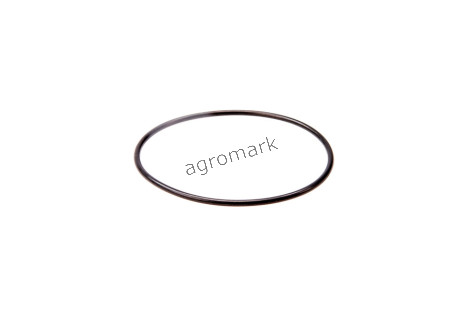 O-ring