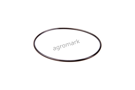 O-ring