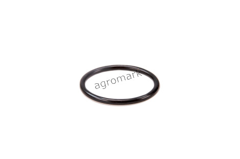 O-ring*