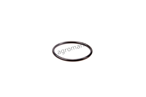O-ring