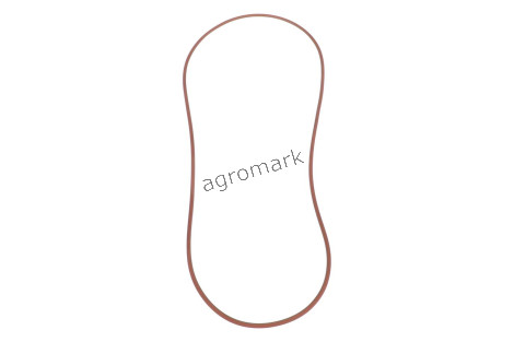 O-ring