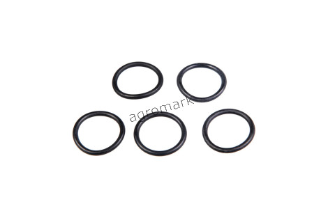 O-ring*