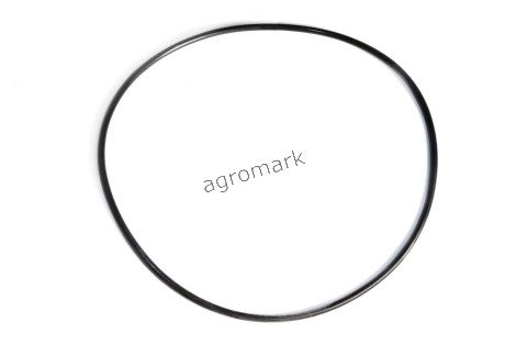 O-ring