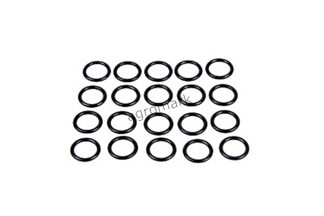 O-ring*