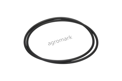O-ring