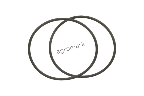 O-ring
