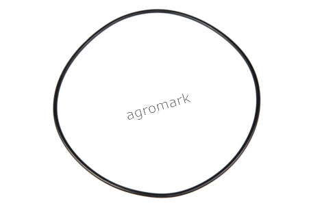 O-ring