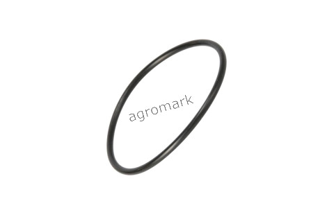 O-ring