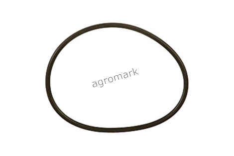 O-ring*
