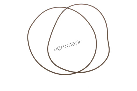 O-ring