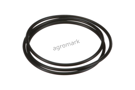 O-ring pompy jazdy 2,5x183mm