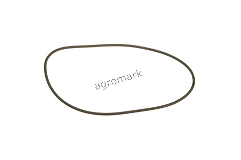 O-ring
