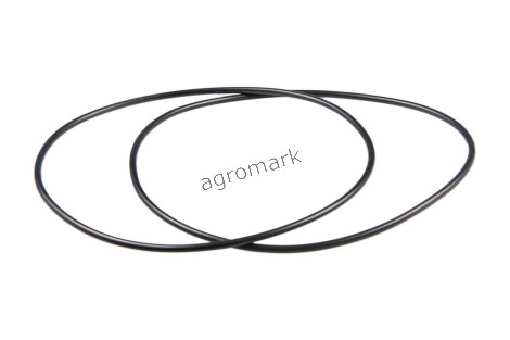 O-ring