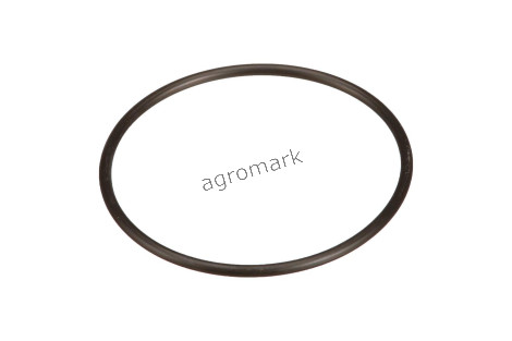 O-ring