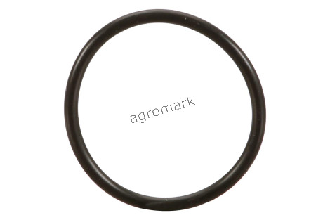O-ring