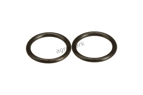 O-ring