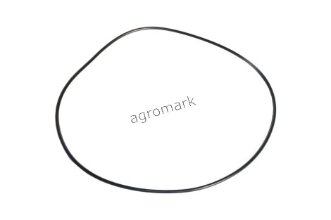 O-ring